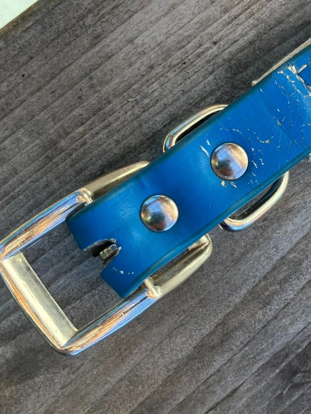 🐶💙 Blue Leather Studded Dog Collar | Silver Bone Studs | Thick Padded Collar |